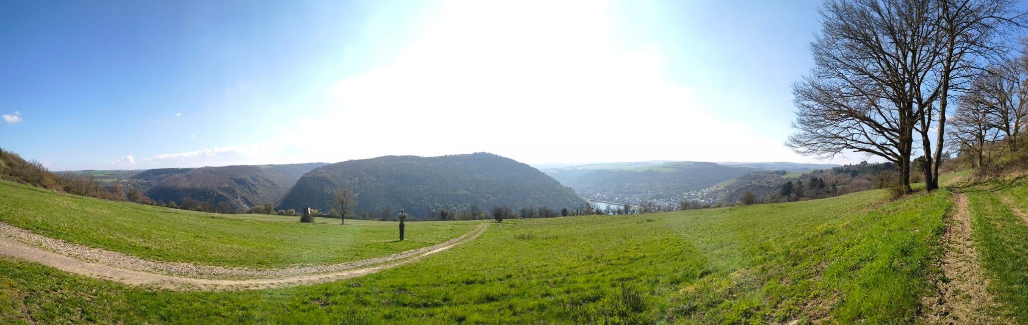 Ein Panoramabild von einer Bergspitze aufgenommen. Im Vordergrund ist eine leicht abschüssige Wiese mit vereinzelten Wegen und Bäumen zu sehen. Dahinter befindet sich eine Baumreihe, bevor es ins Tal hinab geht. Auf der gegenüberliegenden Talseite türmt sich ein weiterer Berg mit steilen Abhängen auf.