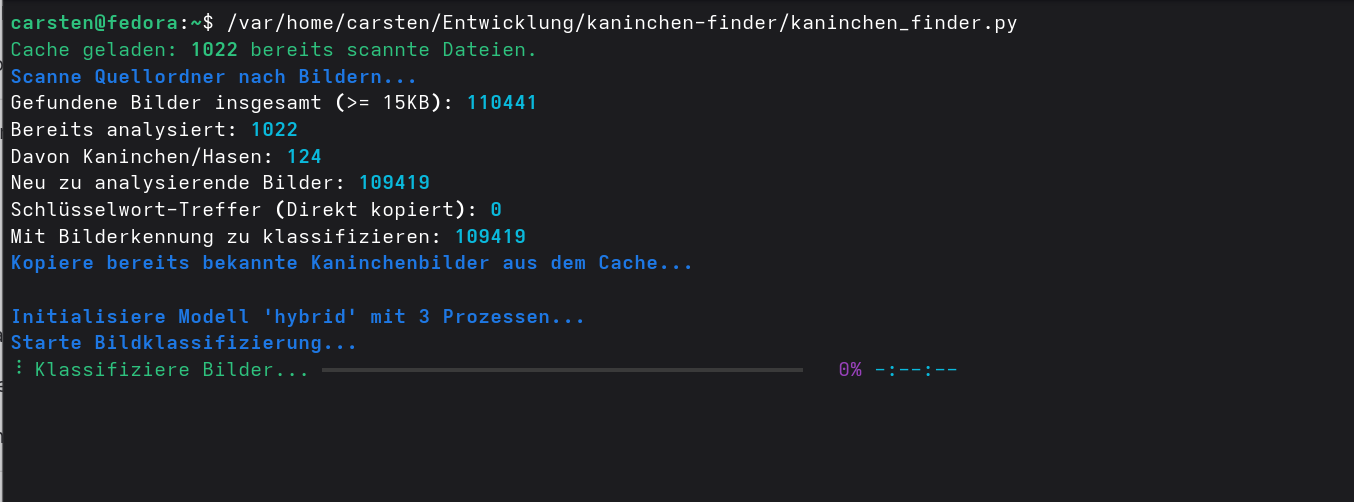 Screenshot von terminalfenster mit python skript in deutsch, zeigt ausführung von bildklassifizierung mit bis zu 109419 beispielen, gefundenen bildern insgesamt 110441.